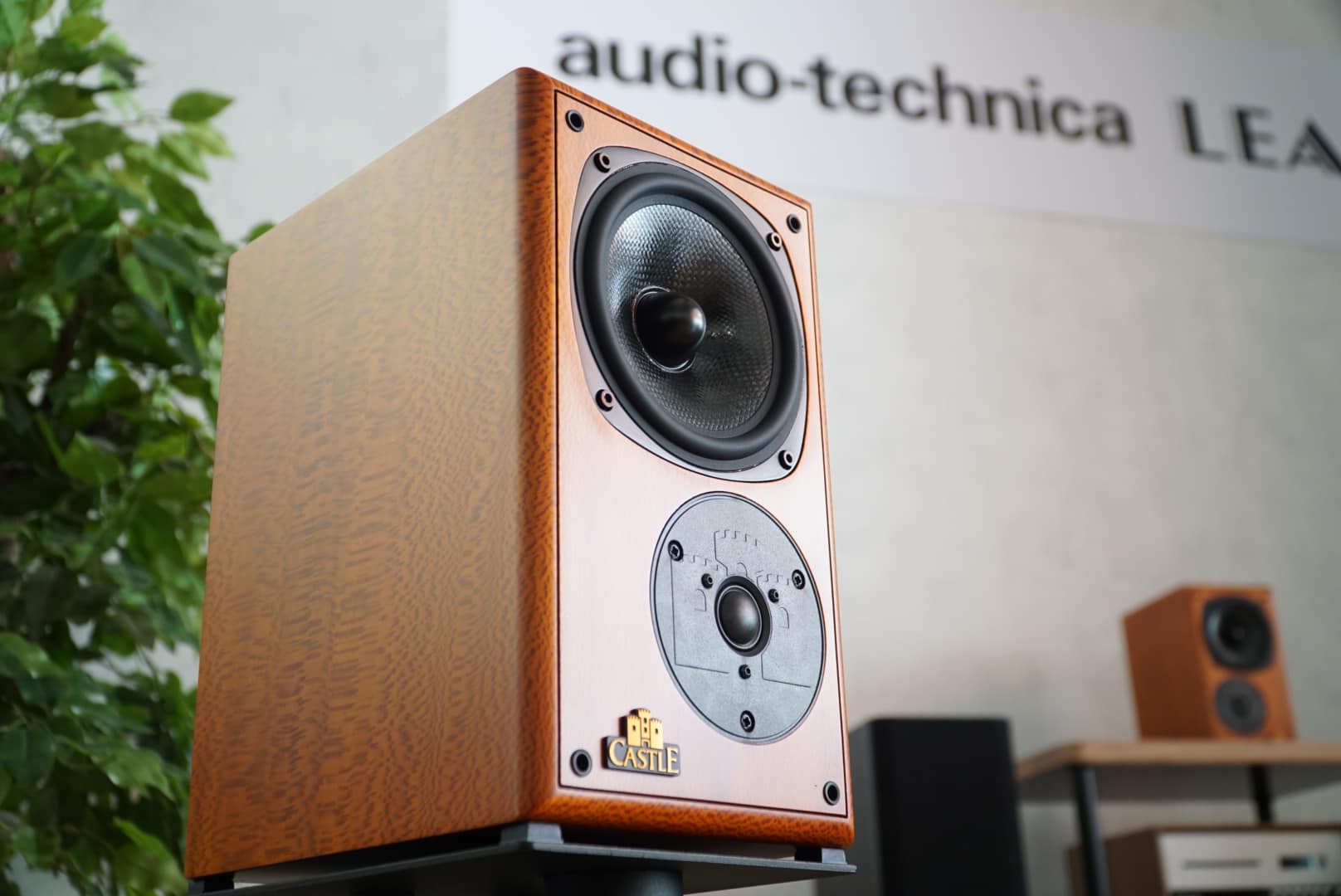 CASTLE RICHMOND ANNIVERSARY VENEER - LACEWOOD